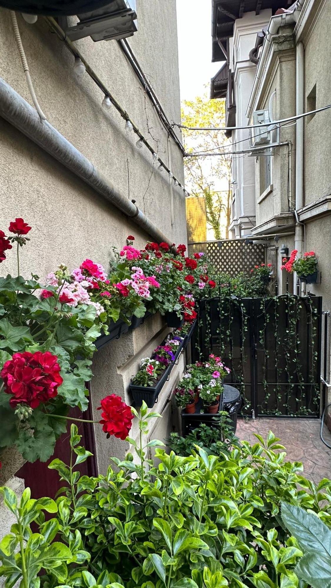 ブカレストCasa De Povesti - Calea Victorieiアパートメント エクステリア 写真